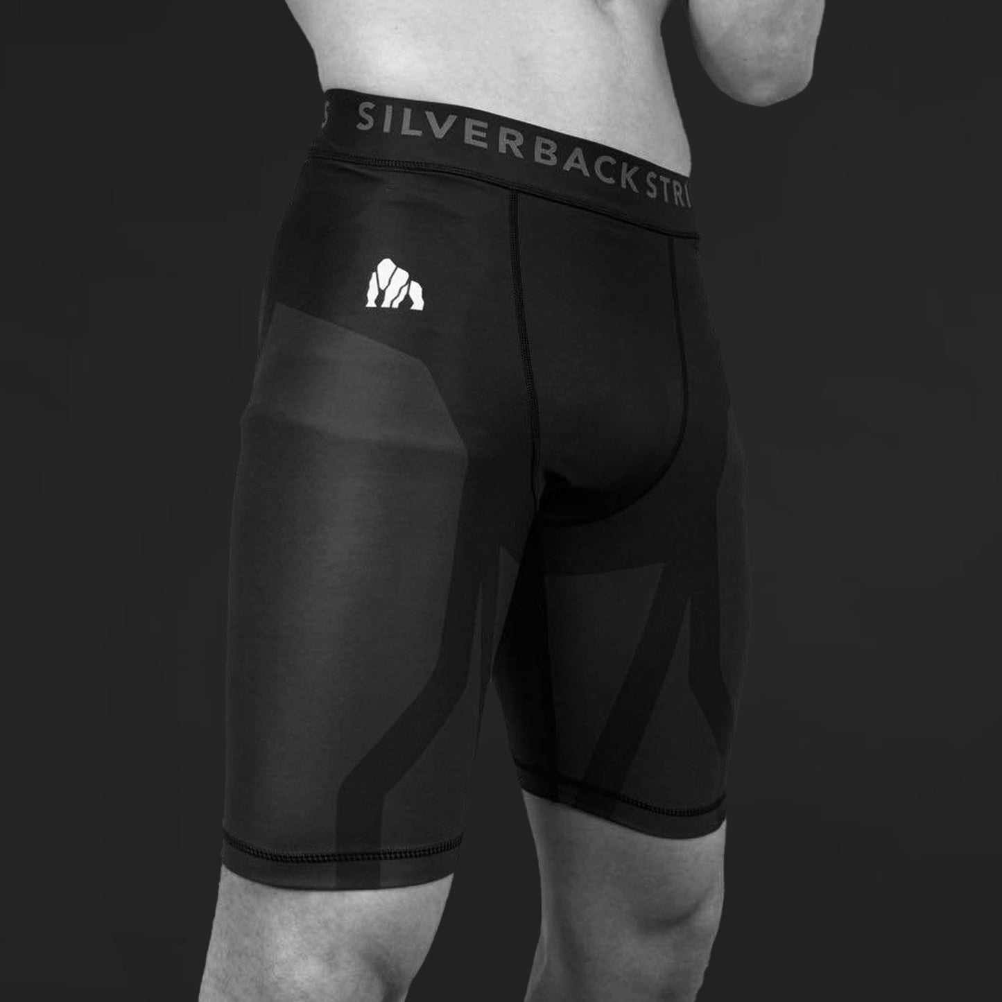 Silverback Black & Grey Men MMA Vale Tudo Shorts